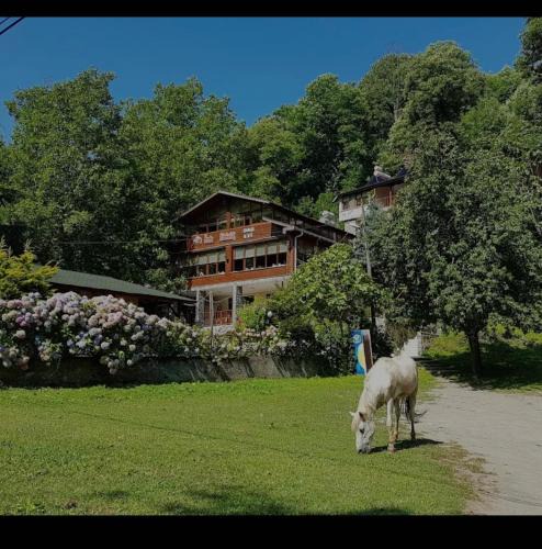 Sapanca Cabin | Özde Dağ Evi
