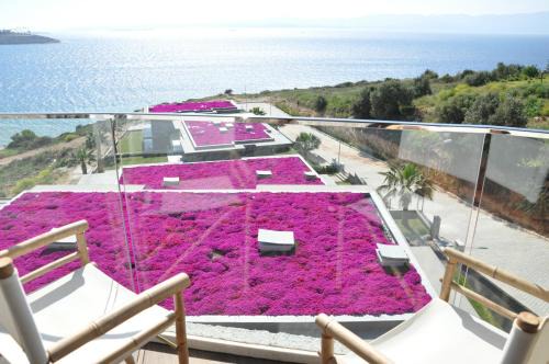 Cesme Hotel | Şato Design Hotel