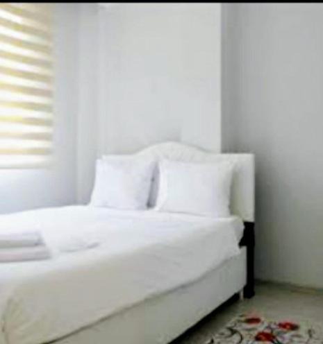 Arnavutkoy Cabin | Ahmet Teacher's villa is 6 minutes from Istanbul airport
