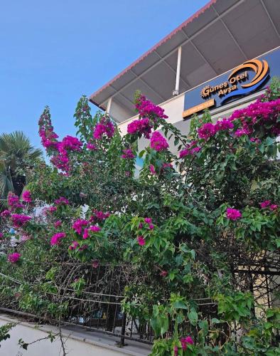 Marmara Hotel | Avşa Güneş Otel