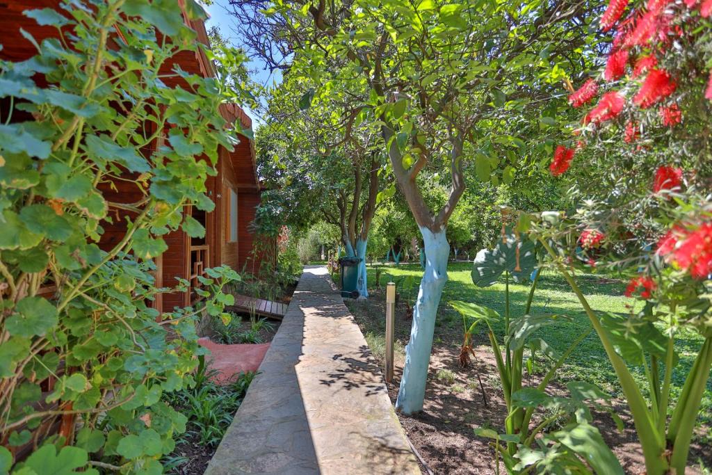 Cirali House | Cinderella Pension & Bungalow