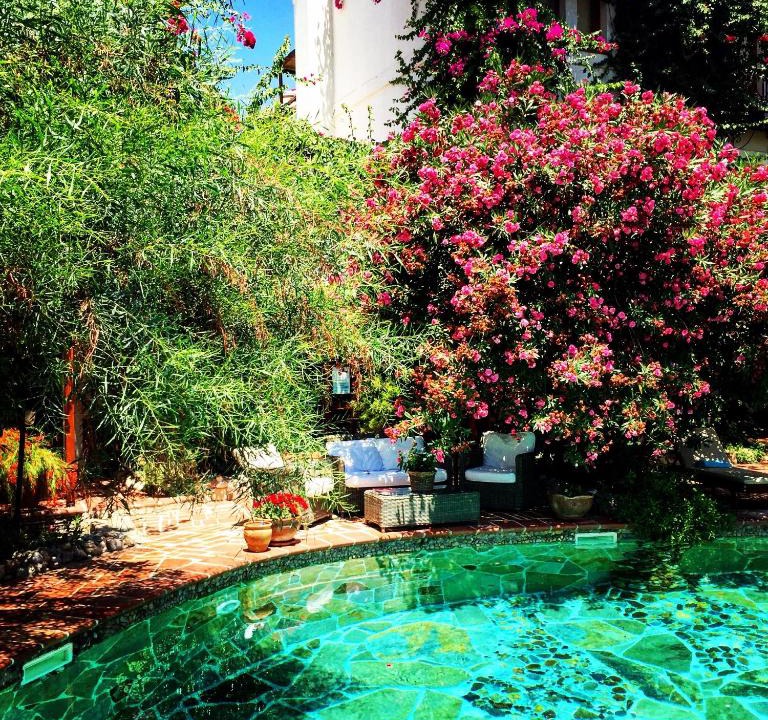 Bodrum City Center Hotel | El Vino Hotel & Suites