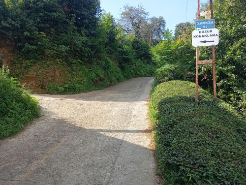 Pazar Apartment | Huzur Apart
