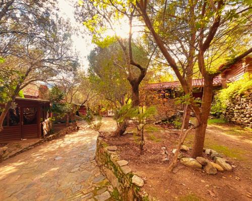 Zeytinli Bed & Breakfast | Kybele Nature Life