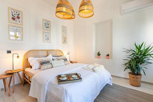 Tophane House | Maison Istanbulite