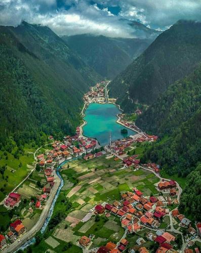 Uzungol Apartment | Uzungöl Zahra Apart Hotel