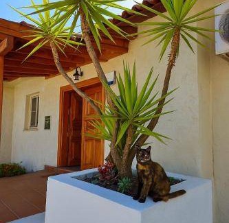 Atakoy Villa | 180 m² Villa ∙ 3 bedrooms ∙ 6 guests