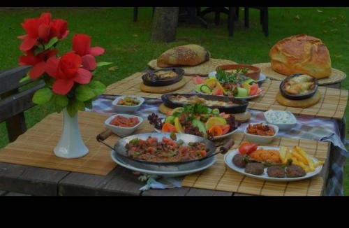 Sapanca Cabin | Özde Dağ Evi
