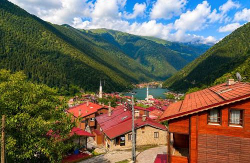 Uzungol Apartment | Şimo Suite Otel