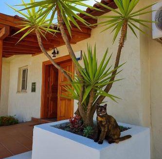 Atakoy Villa | 180 m² Villa ∙ 3 bedrooms ∙ 6 guests
