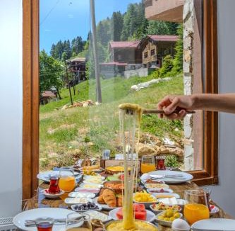 Ayder Yaylasi Hotel | Ayder Palazzo Hotel