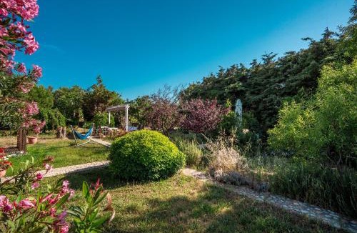 Bozcaada House | Bagbadem Tatil Çiftliği