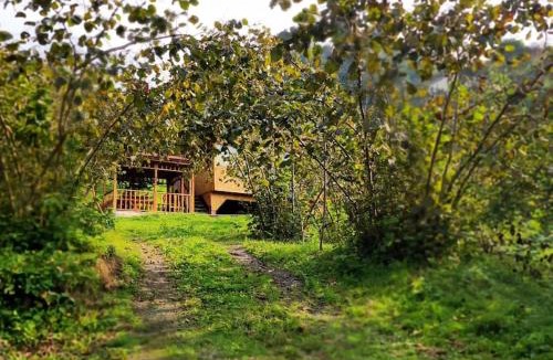 Trabzon House | Bahçede Ahşap Bağ Evi ve Çardak