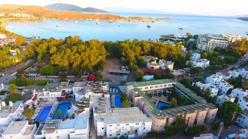 Gumbet Hotel | Bleu Nuit Hotel +