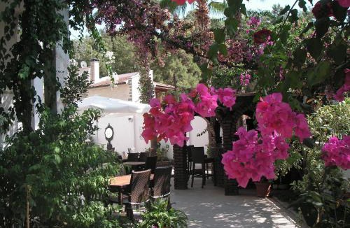 Marmaris Hotel | Carikci Hotel