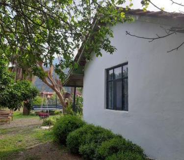 Cirali House | Cirali Friends Pension&Camping