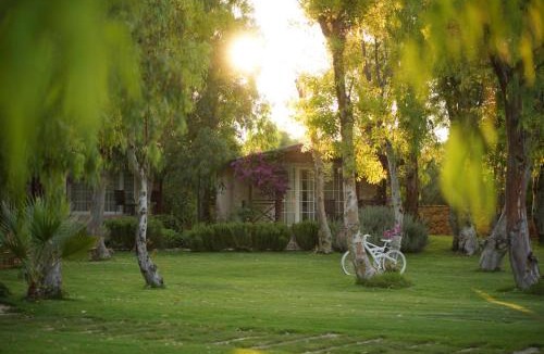 Kızlan Hotel | Datça Dirik Surf Beach Hotel