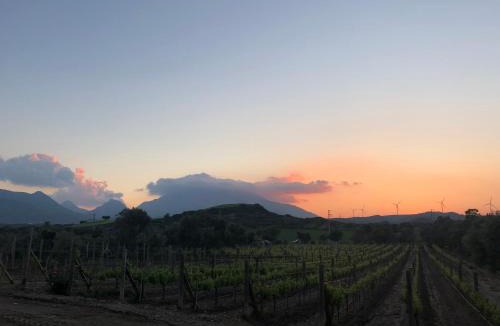 Datca Bed & Breakfast | Datça Vineyard Guesthouse - Over 14 years old only
