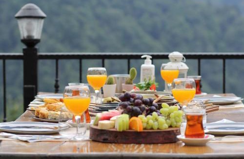 Ayder Hotel | DUDİ KONAK HOTEL