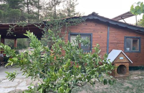 Milas House | Escape the noise, hear only natures voice