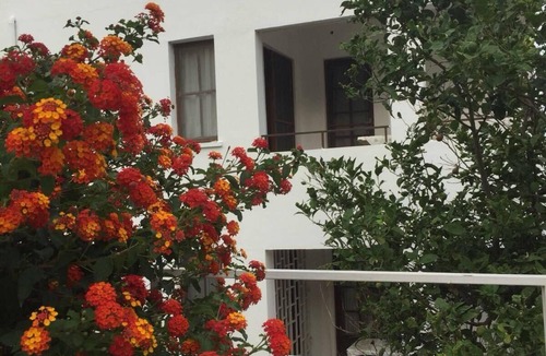 Datca City Center House | Flat with private back yard - Datca centrum