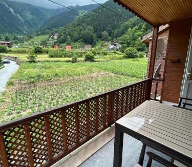 Uzungol Apartment | Günes Apart