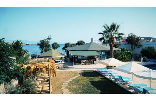 Gumbet Hotel | Gumbet Cove Hotel