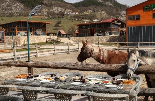 Pinarbasi Bed & Breakfast | Horma Kanyon Hotel