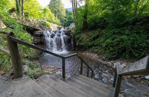Sapanca Bed & Breakfast | İstanbuldere Alabalık
