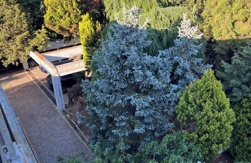 Silivri House | Lovely 4-bedroom house with Private pool in Silivri