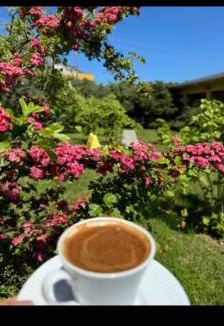 Demirkoy Hostel | Meşeliev Pansiyon