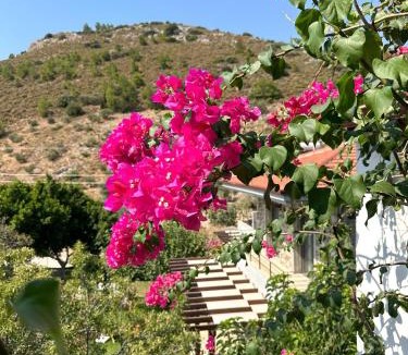 Datca Apartment | Merhaba Suits