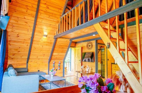 Cayeli Villa | Nesli Villa & Bungalow-4
