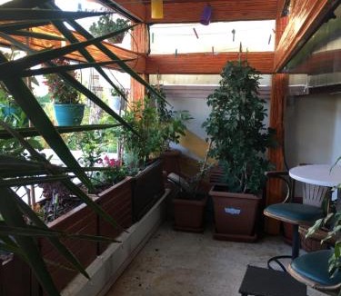 Eski Lara House | Orange Garden