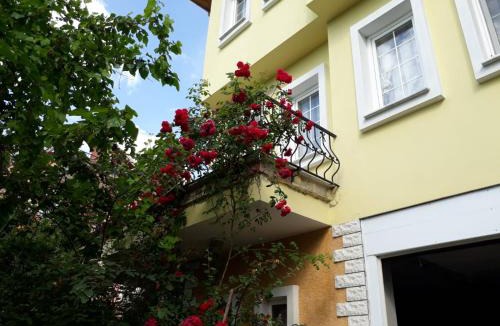 Akcaabat Villa | Paradise Villa Trabzon