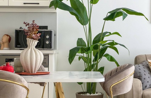 Alanya Apartment | Qoople Elite 4 Elize 6 neue Wohnung im Stadtzentrum by Interhome