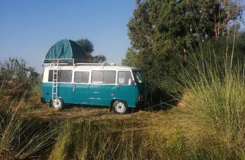 Kemer Other | Ran Karavan
