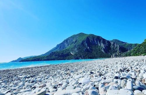 Cirali House | Saklı Bahçe pensiyon & camping