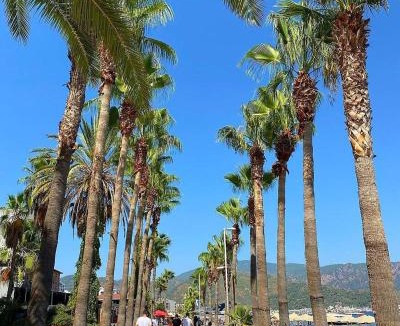 Marmaris City Center Hotel | Sesin Hotel