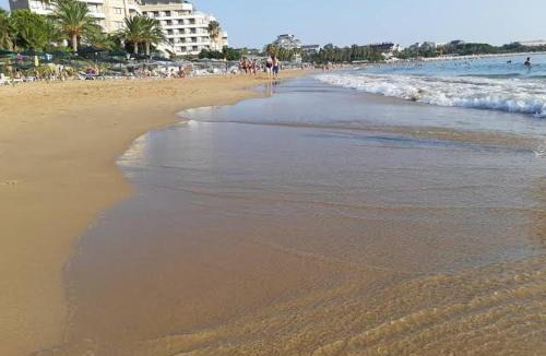 Avsallar Apartment | Siberland olive garden 1+1 residence spa - pool