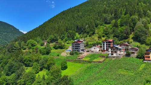 Uzungol Apartment | Sinor Home Uzungöl