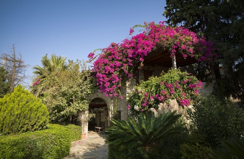 Datca Apartment | Stone House Deluxe Room - Kocaev-Mehmet Ali Aga Mansion