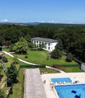 Saray Hotel | The Life Nest Hotel