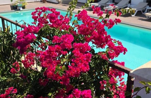 Turgutreis Apartment | Turgutreis Apart Otel