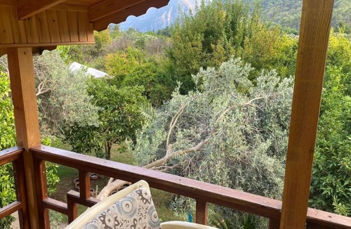 Cirali House | Turkuaz Bungalows
