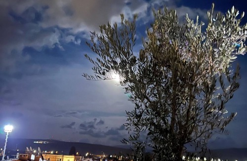 Tokoglu Hotel | Woodstock Alaçatı
