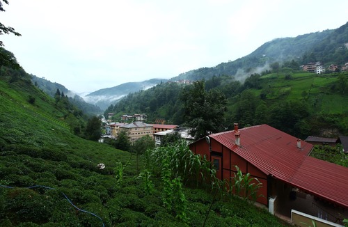 Cayirduzu Hotel | Yesil Doga Tatil Apart