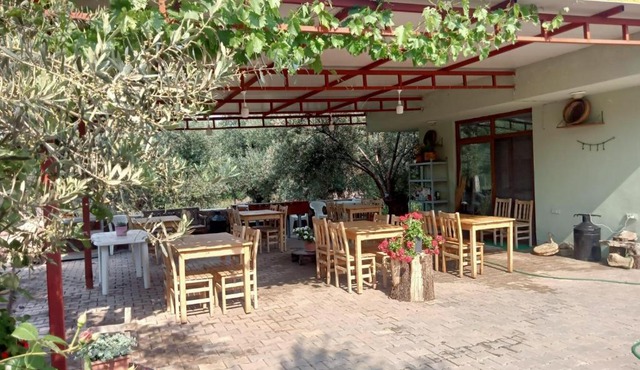 Assos Gunoven & Butik Apart Otel