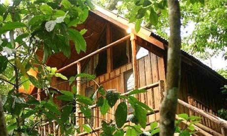Bayrams Tree Houses in Kumluca