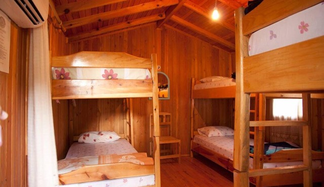 Bayrams Tree Houses